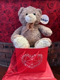 Super soft Bear